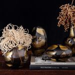 CASAFLORSETEMB0251