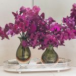 CADORO0102--1-