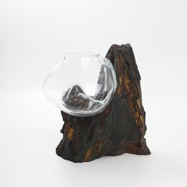 Vaso Tronco Transparente - 008