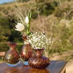 irarema--57-of-65-