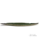 quiabo-verde02