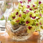 bowl-1-tela-transparente-com-ouro-01