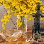 bowl-1-tela-transparente-com-ouro-04