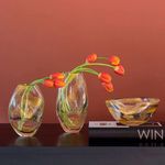 bowl-1-trasparente-aureo-03
