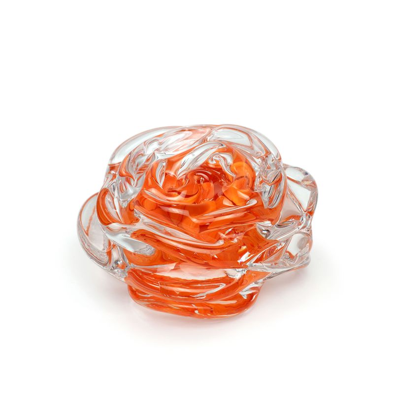 coral-multicor-1